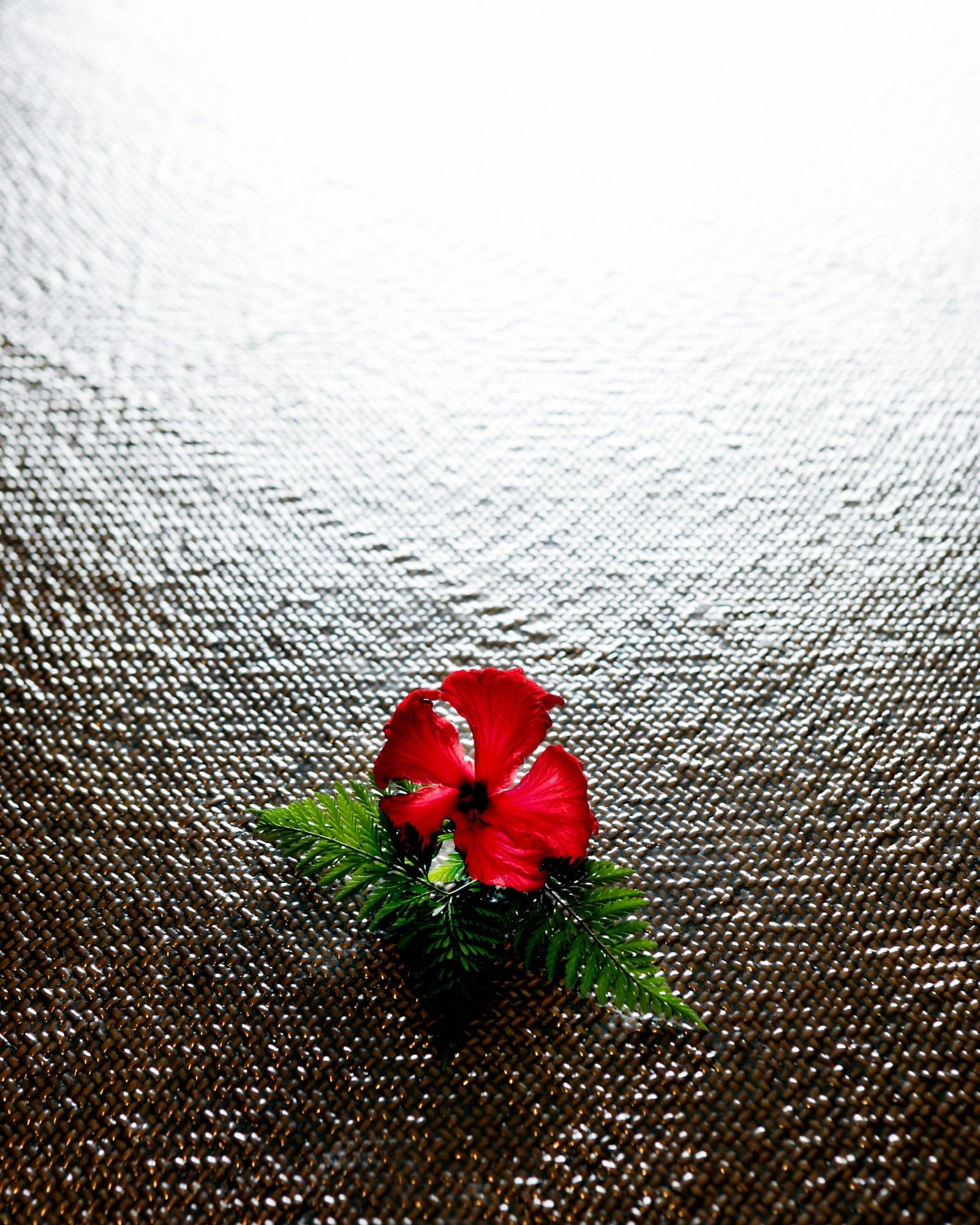 The Pearl South Pacific Resort, Spa & Golf Course Pacific Harbour Eksteriør billede